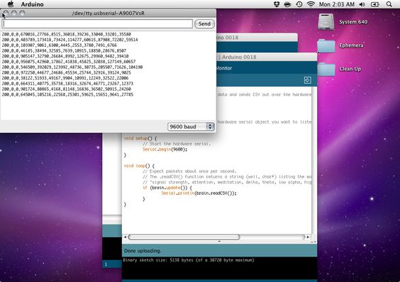 Brain library serial test