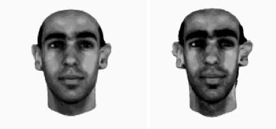 An example of an automatically generated caricature